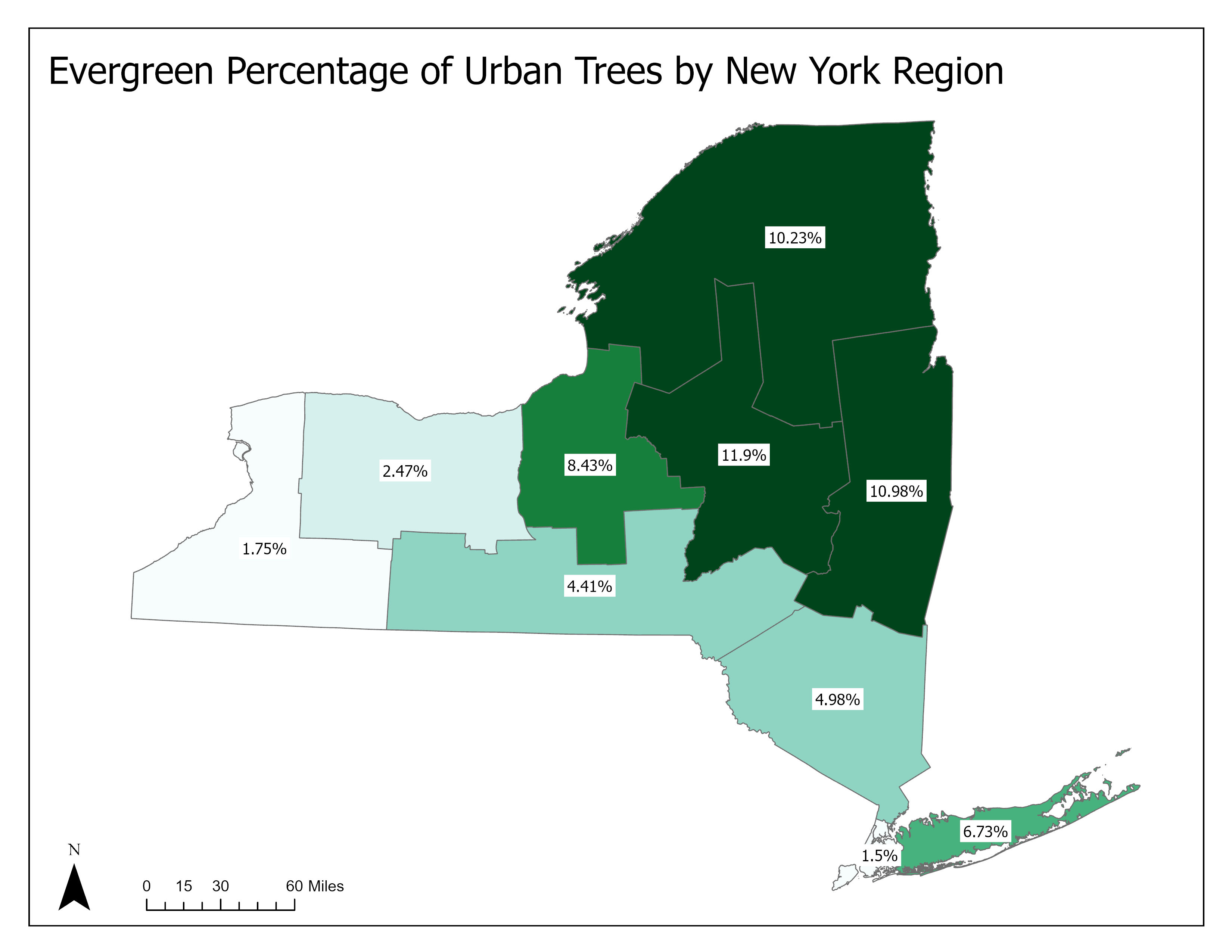 Evergreen % of Urban Canopy map