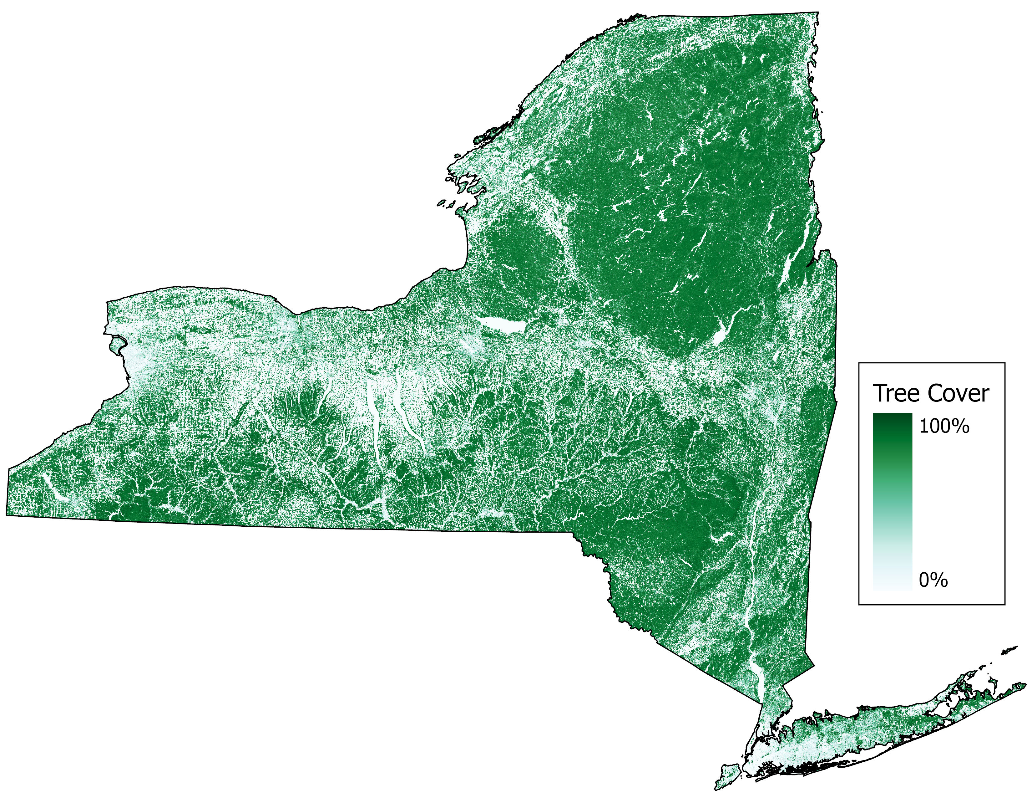 Tree Cover map